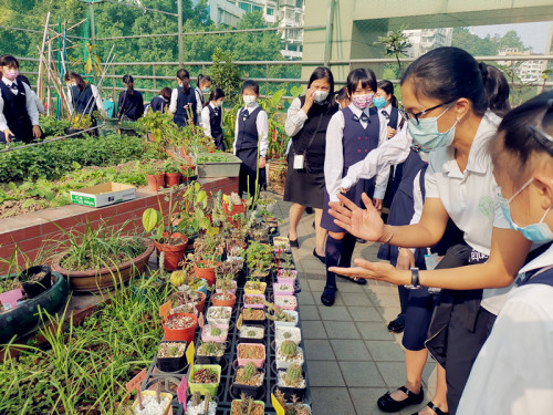 Primary 5 General Studies